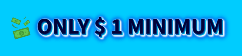 1Multiplier